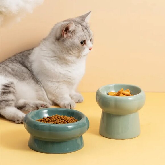 Ceramic Elevated Pet Foot Bowls Decor Cat Dog Home Small Mini Flower Cream Blue - Picture 1 of 16